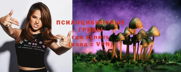 стаф Алексин