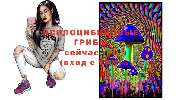 амф Алексеевка