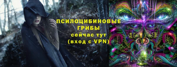 стаф Алексин