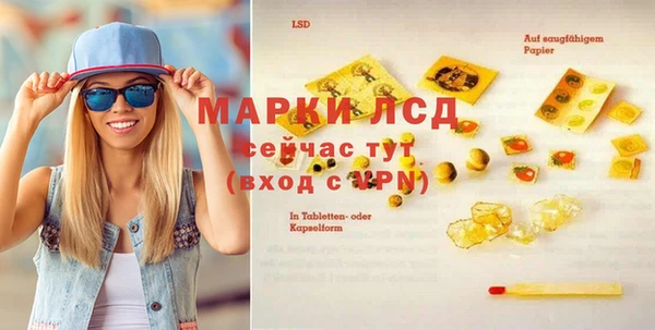 стаф Алексин