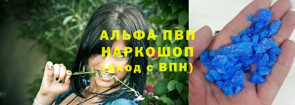стаф Алексин